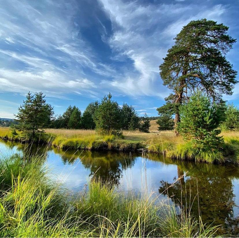 Vila Carna Zlatibor Eksteriør bilde